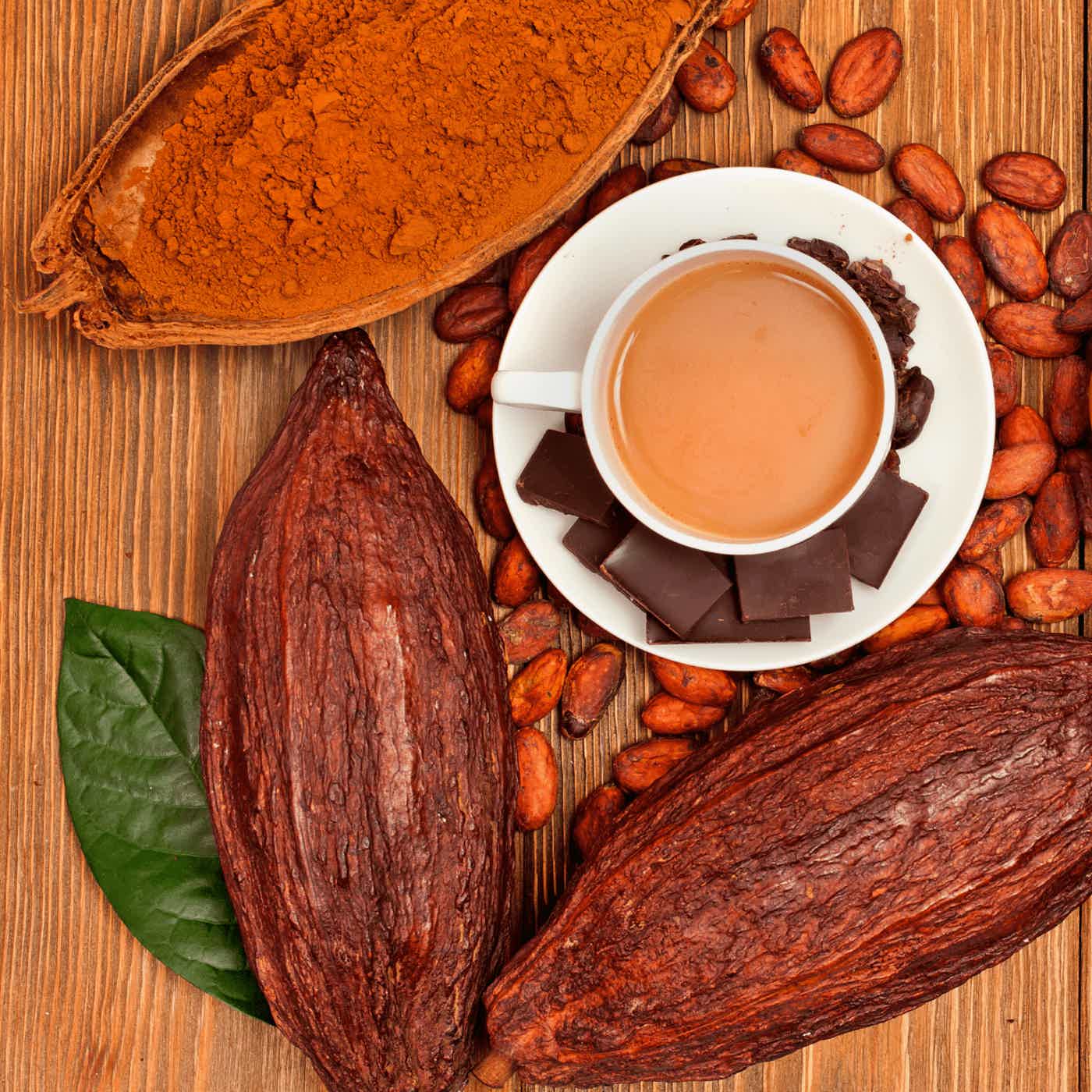 Coffee Mocha | Moss-Shroom | Freeze Dried Instant Mocha Coffee